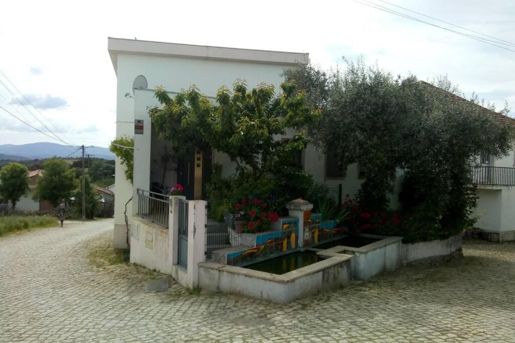 Ferienwohnung Casa Da Oliveira Milhão Exterior foto