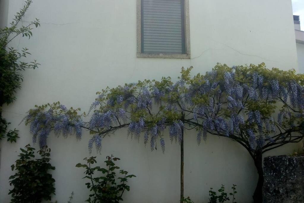 Ferienwohnung Casa Da Oliveira Milhão Exterior foto